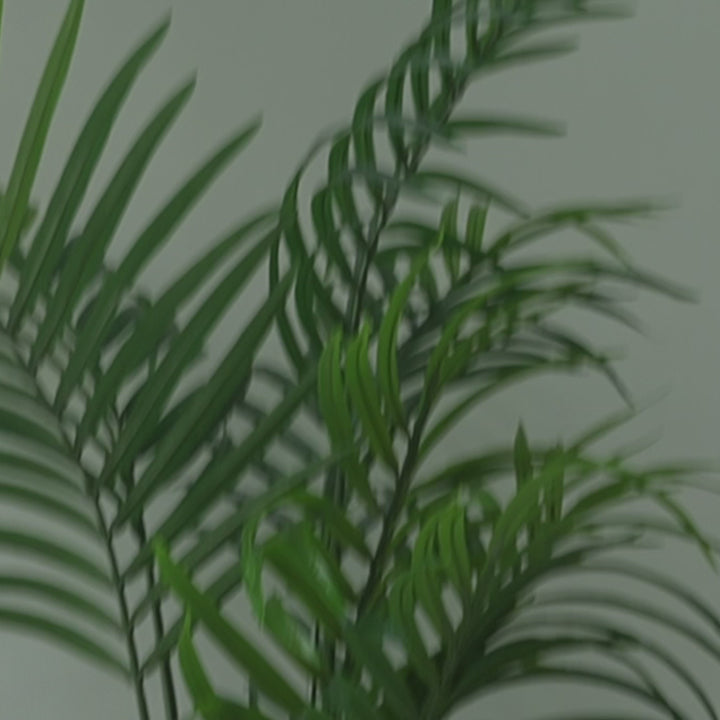 HairReve Scalp Defense Serum (Anti-Dandruff) -  100ml